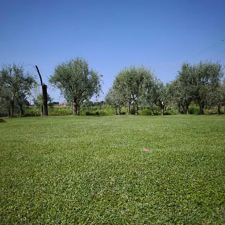 Guest house L'albero Del Tempo
